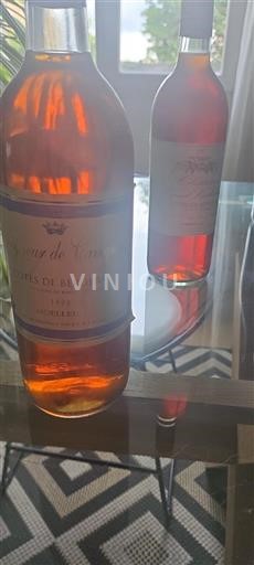Lounais-Ranska Côtes-de-bergerac Seigneur de Cariguac 1998