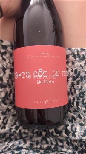 Südwestfrankreich Cahors Fabien Jouves Haute Côt(e) de Fruit 2024