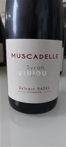 Alpi e Paesi Rodaniani Collines Rodanesi Sylvain Badel Muscadelle 2017