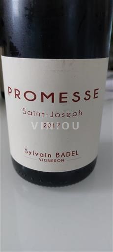 Valle del Rodano Saint-Joseph Sylvain Badel PROMESSE 2017