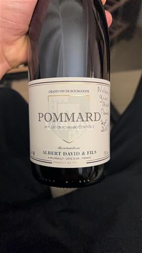 Burgundy Pommard Albert David & Fils 2023