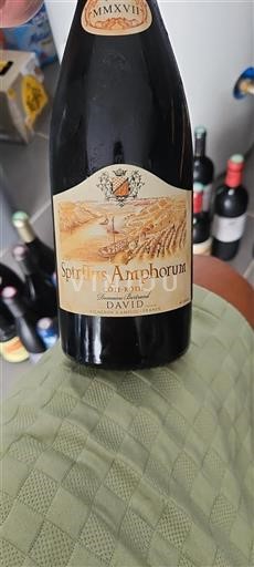 Valle del Rodano Côte-rôtie Domaine Bertrand Spiritus Amphorum 2017