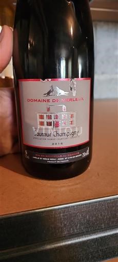 Valle del Loira Saumur-Champigny Domaine Nerleux 2016