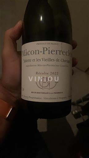 Borgogna Mâcon e Mâcon-Villages Juliette et les Vieilles de Chavigne 2022