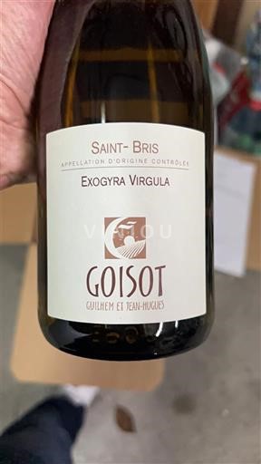 Burgundsko Saint-Bris Goisot Exogyra Virgula 2023