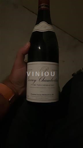 Borgogna Gevrey-Chambertin Premier Cru Domaine Lucien Boillot & Fils Les Cherbaudes 2015
