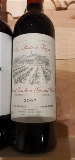 Bordeaux Saint-Émilion Grand Cru Grand Cru Les Hauts de Pagus 2007