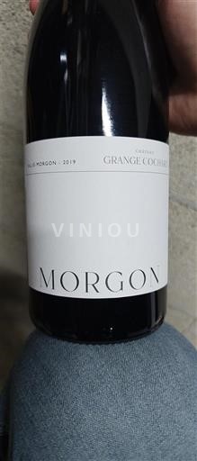 Beaujolais Morgon Château Grange Cochard 2019