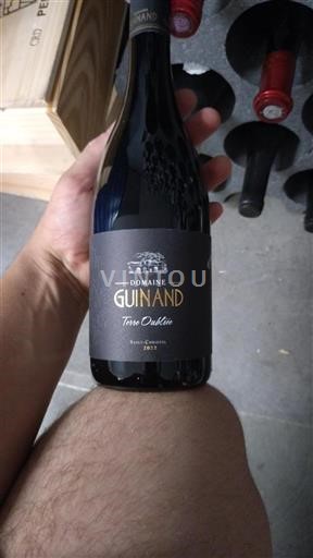 Languedoc Ikke specificeret Domaine Guinand Terre Oubliée 2022