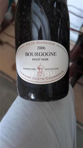 Burgundy Domaine Coste-Caumartin 2006