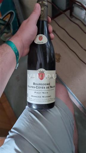 Burgundy Hautes Côtes de Nuits Domaine Nudant 2009