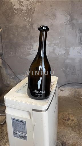 Languedoc și Roussillon Côtes de Thongue Domaine L'Arjolle Equinoxe 2024