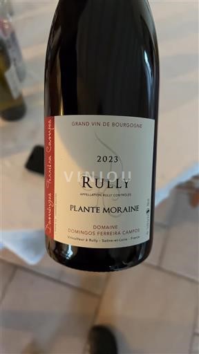 Burgundsko Rully Domaine Domingos Ferreira Campos Plante Moraine 2023
