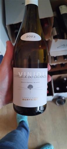 Loirevallei Coteaux-du-giennois Clément & Florian Berthier 2023