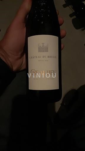 Valle della Loira Anjou Château Breuil Beaulieu 2018