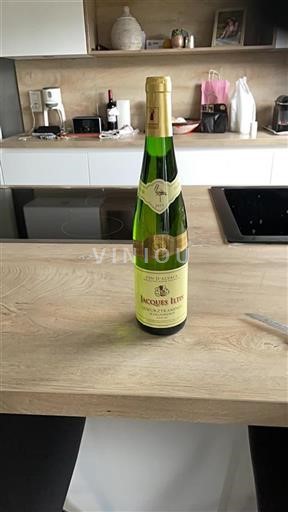 Alsace Jacques Iltis Schlossreben 2019