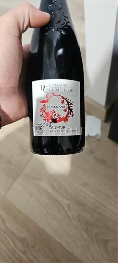 Loirevallei Saumur Domaine La Guilloterie L'étonnante 2021
