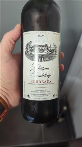 Vin Rouge sec Château Chanteloup 2019 France Bordeaux AOC