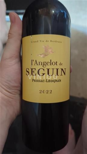 Bordeaux Pessac-Léognan L'Angelot de Seguin 2022