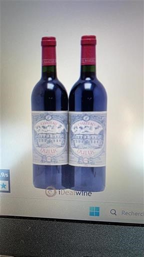 Bordeaux Saint-Julien Grand Cru Château Duluc 1996