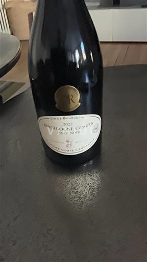 Burgundy Burgundy Côte d'Or Domaine Coste-Caumartin 2022