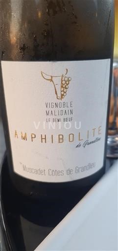 Loiredalen Muscadet-Côtes-de-Grand-Lieu Vignoble Malidain Amphibolite Icke årgångsbetecknad