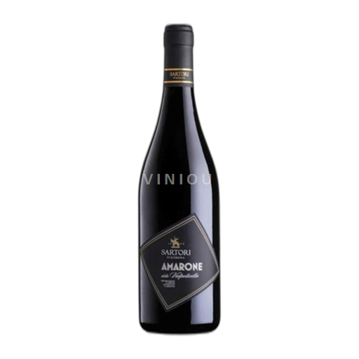 Vêneto Amarone della Valpolicella Sartori di Verona 2021