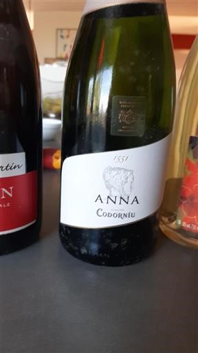 Catalonia Cava Codorníu Anna Non-Vintage