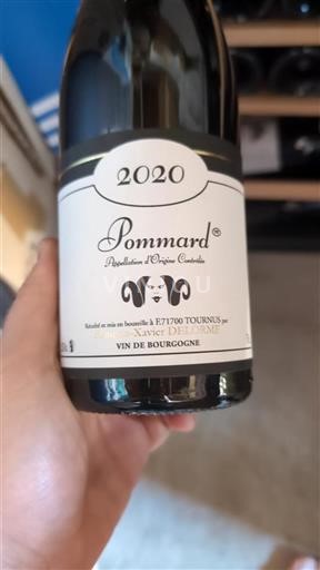 Bourgogne Pommard François-Xavier Delorme 2020