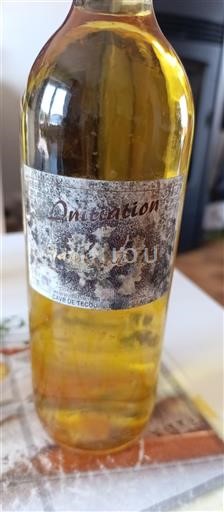 Sydvestfrankrig Gaillac Cave de Tecou 1998