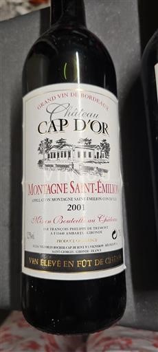 Bordeaux Montagne-saint-émilion Château Cap Or 2001