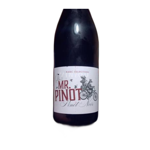 Unspecified Saint Nicolas de Bourgueil 2023 Non-Vintage