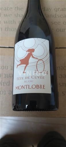 Languedoc Ikke specificeret Montlobre Tête de 2024
