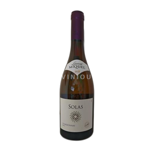 Languedoc Ospecificerad Laurent Miquel Icke årgångsbetecknad