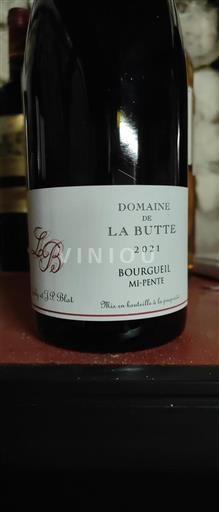 Valle del Loira Bourgueil Domaine La Butte Mi-Pente 2021