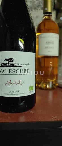Languedoc-Roussillon Pays d'Oc Domaine Valescure Merlot 2023