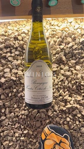 Burgundi Hautes Côtes de Nuits Domaine JACOB 2023