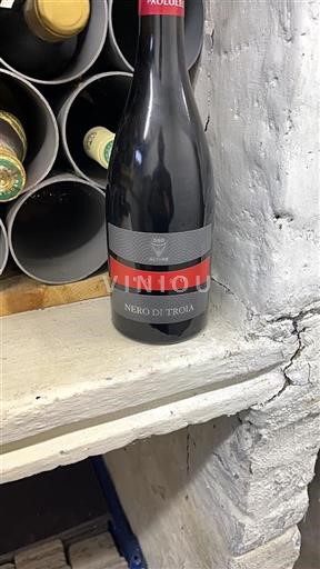 Apulia Wines Unspecified Paololeo Nero di Troia 2016