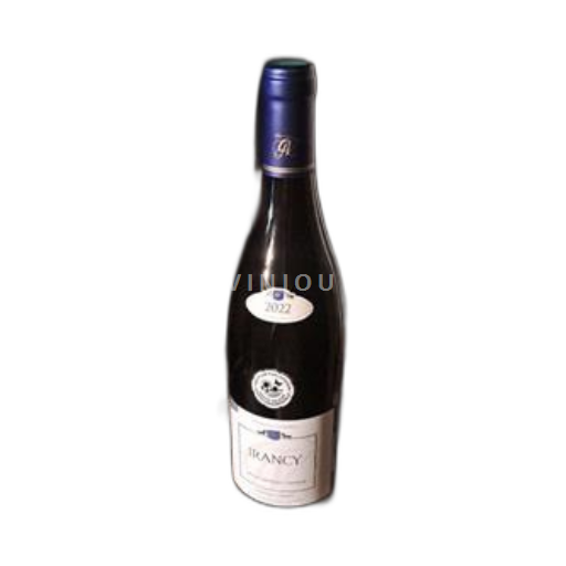 Bourgogne Irancy Domaine Verret 2022