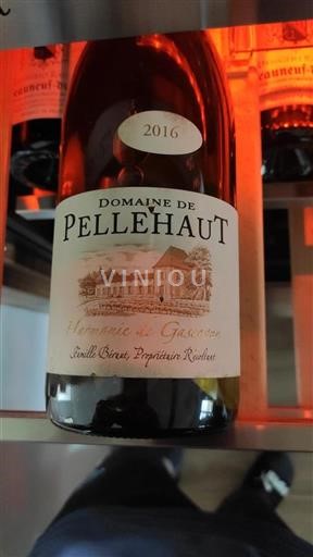 Südwestfrankreich Côtes de Gascogne Domaine Pellehaut Harmonie de Gascogne 2016