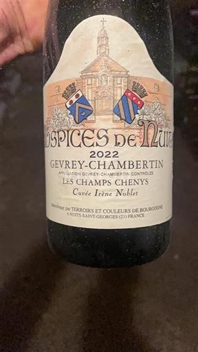 Borgoña Gevrey-Chambertin Grand Cru Hospices de Nuits Les Champs Chenys 2022