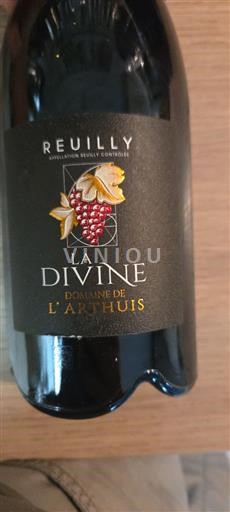 Loire Valley Reuilly Domaine L'Arthuis La Divine 2022