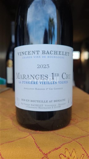 Bourgogne Ospecificerad Premier Cru Vincent Bachelet La Fussière Vieilles Vignes 2023