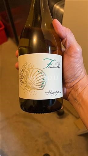 Rhône Valley Côtes-du-Rhône Domaine Fenouillet 2023