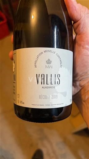 Lothringen Mosel Vallis 2019