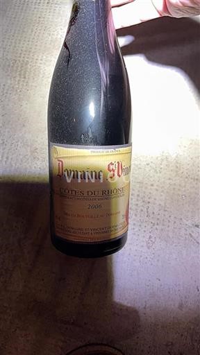 Rhônen laakso Côtes-du-rhône Domaine St Vincent 2006