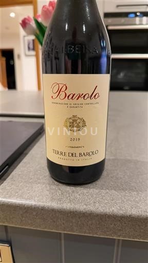 Piemont Barolo Terre del Barolo 2019