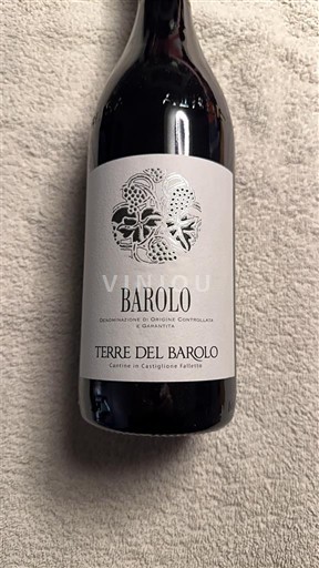 Piemonte Barolo Terre del Barolo 2019