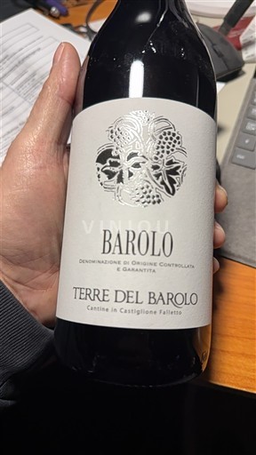 Piedmont Wines Barolo Terre del Barolo 2019