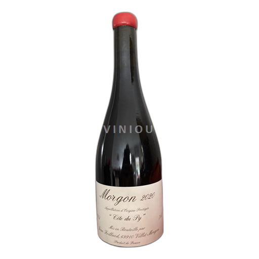 Beaujolais Morgon Jean Foillard Côte du Py 2020